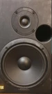 New Event 20/20 Bas Biamplified Monitor System (1 Speaker) (2 Available). Fixed Price $300.00.