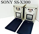 Rare Sony SS-X300 Speaker System Pair Vintage. Fixed Price $500.00.