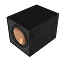 Klipsch R-101SW Powered Subwoofer. Fixed Price $379.99.