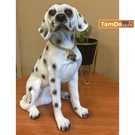 Wooof MD567 Dog Bluetooth Rechargeable Portable Speaker - Dalmation. Fixed Price $78.00.