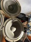 Bose 1970'S 4 X 8" Woofer Speaker From 601 Series Refoamed. Fixed Price $150.00.