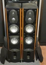 Beautiful Energy Veritas V2.3CH-1 Speakers. Fixed Price $800.00.