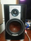 Dali EPICON2 Pair, Black, Shipped From Japan. Fixed Price $2376.56.